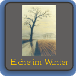 Eiche im Winter